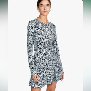 Parker Rhea Long Sleeve Dress Arctic Spot